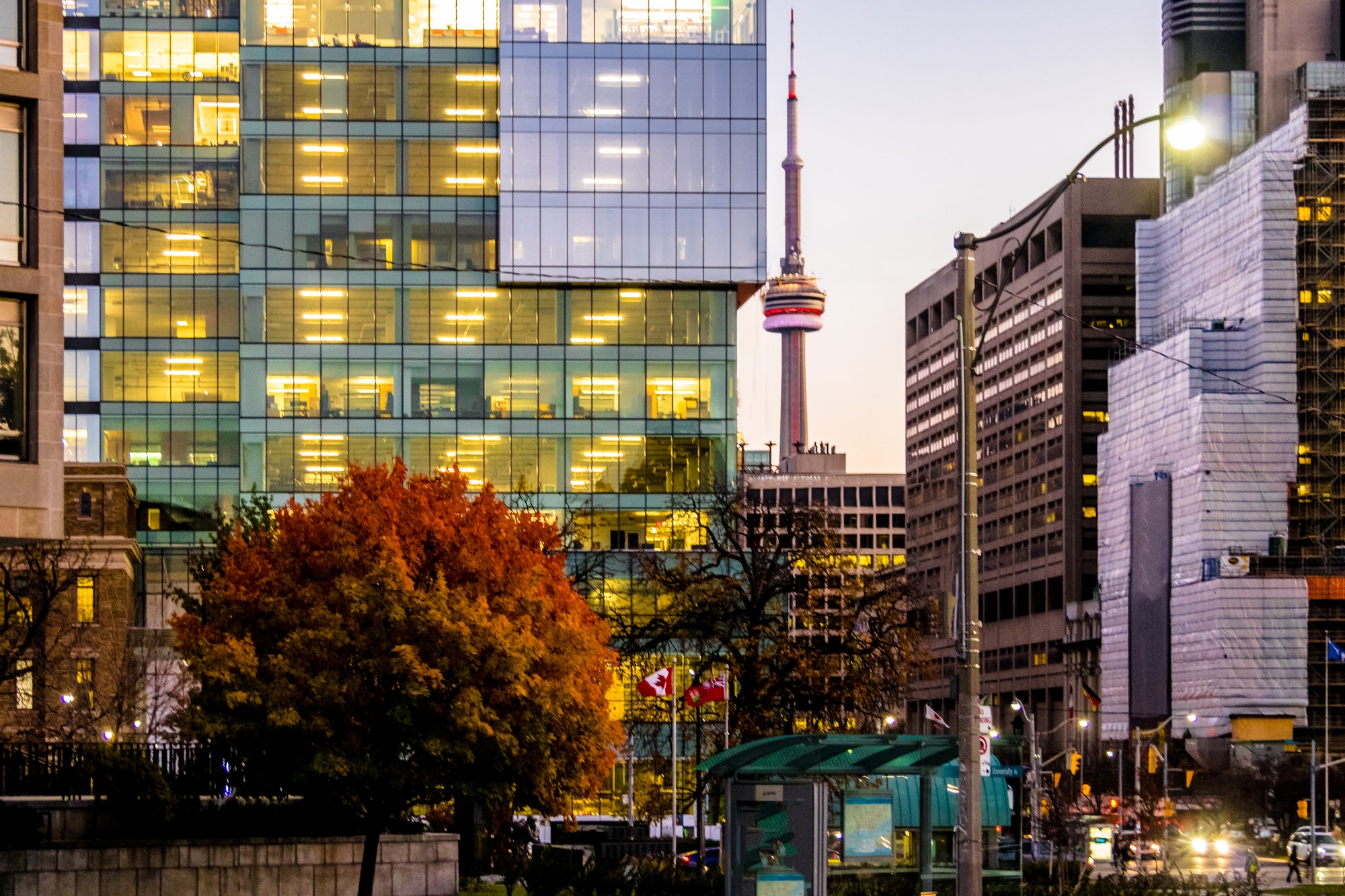 Colorful modern buildings of downtown Toronto and CN Tower at night - Toronto, Ontario, Canada